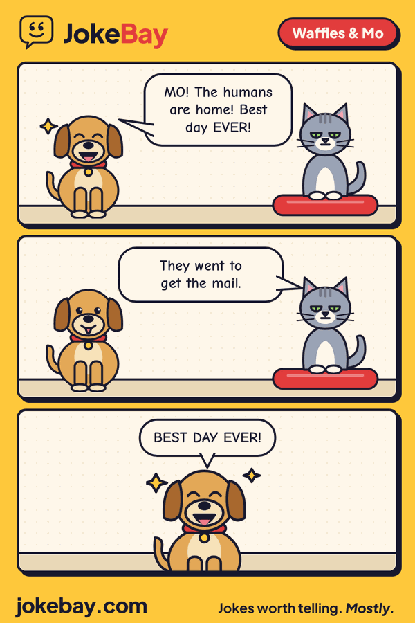 Comic strip: Waffles: MO! The humans are home! Best day EVER! Mo: They went to get the mail. Waffles: BEST DAY EVER!