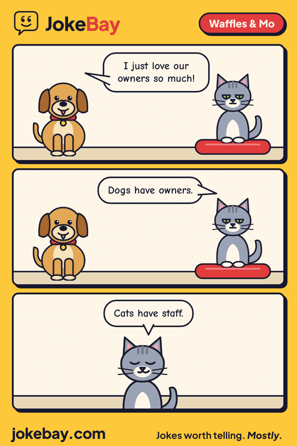 Comic strip: Waffles: I just love our owners so much! Mo: Dogs have owners. Mo: Cats have staff.