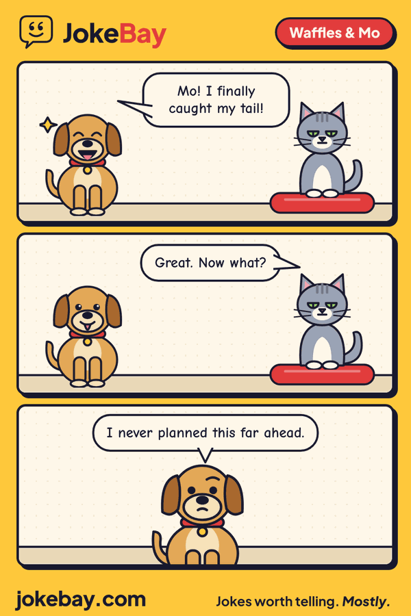 Comic strip: Waffles: Mo! I finally caught my tail! Mo: Great. Now what? Waffles: I never planned this far ahead.