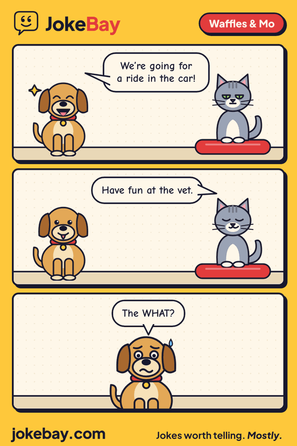 Comic strip: Waffles: We’re going for a ride in the car! Mo: Have fun at the vet. Waffles: The WHAT?