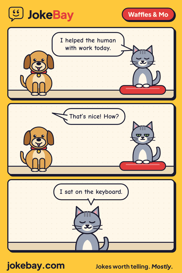 Comic strip: Mo: I helped the human with work today. Waffles: That’s nice! How? Mo: I sat on the keyboard.