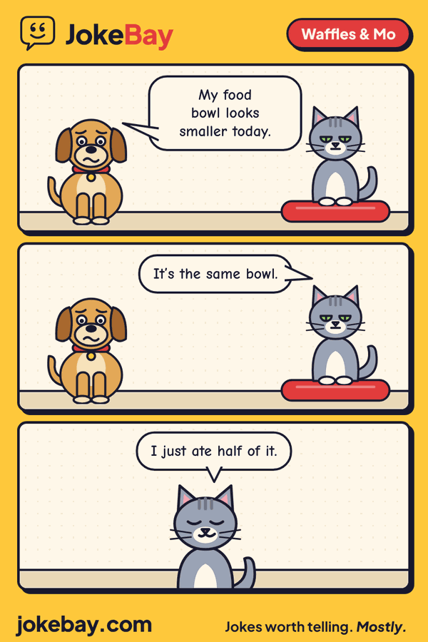 Comic strip: Waffles: My food bowl looks smaller today. Mo: It’s the same bowl. Mo: I just ate half of it.