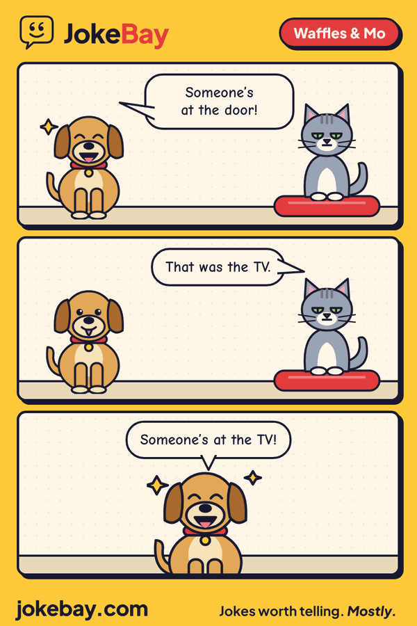 Comic strip: Waffles: Someone’s at the door! Mo: That was the TV. Waffles: Someone’s at the TV!