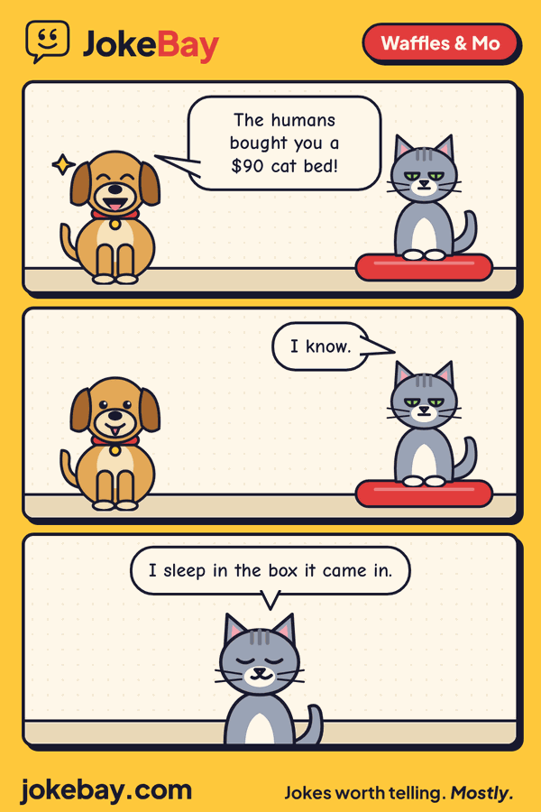 Comic strip: Waffles: The humans bought you a $90 cat bed! Mo: I know. Mo: I sleep in the box it came in.