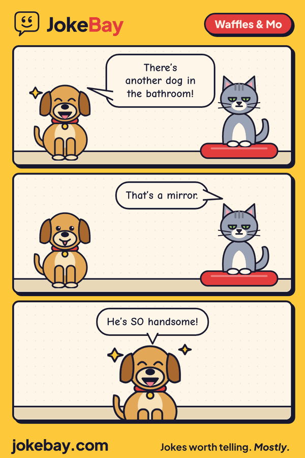 Comic strip: Waffles: There’s another dog in the bathroom! Mo: That’s a mirror. Waffles: He’s SO handsome!