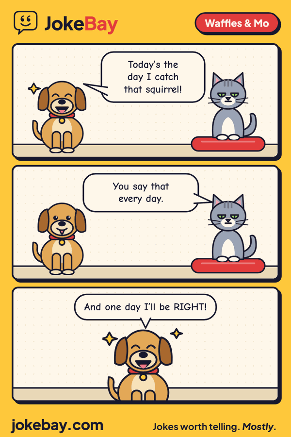 Comic strip: Waffles: Today’s the day I catch that squirrel! Mo: You say that every day. Waffles: And one day I’ll be RIGHT!