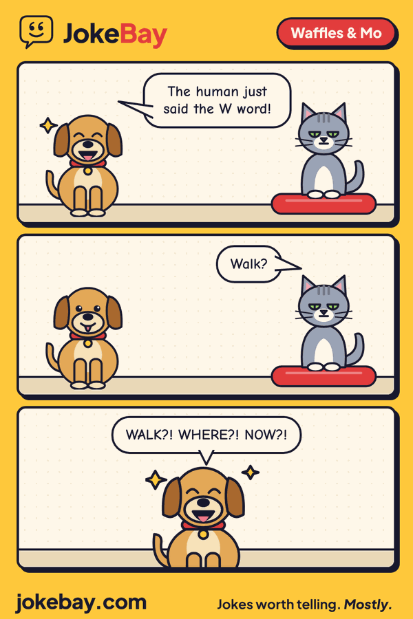 Comic strip: Waffles: The human just said the W word! Mo: Walk? Waffles: WALK?! WHERE?! NOW?!