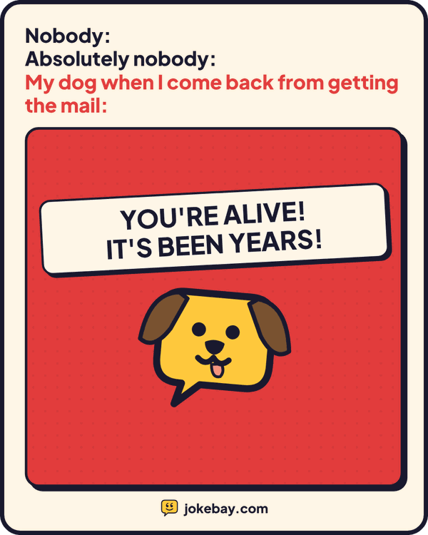 Meme: Nobody: Absolutely nobody: My dog when I come back from getting the mail: YOU'RE ALIVE! IT'S BEEN YEARS!